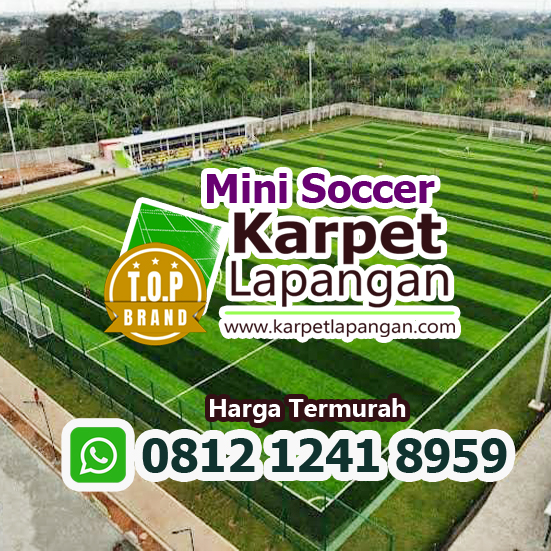 Flooring Lapangan Mini Soccer